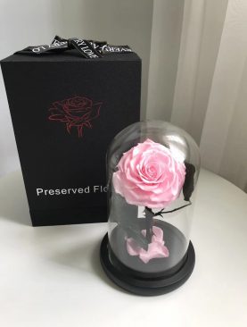 Rosa Preservada Principito rosado